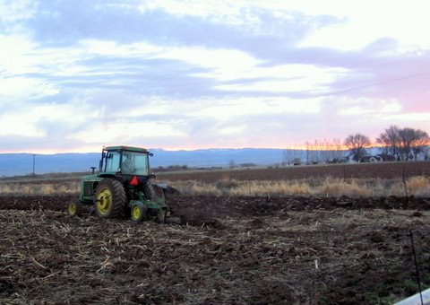 plowing-at-dawn.JPG