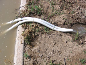 tube-irrigation.jpg
