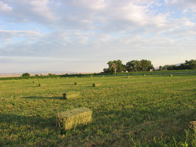 second-baling-of-hay.jpg