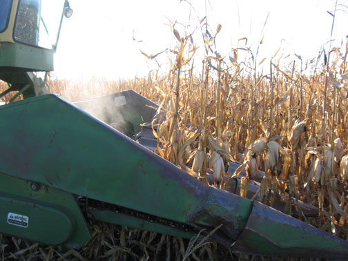 corn-harvest-has-begun.jpg