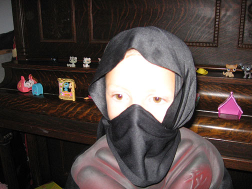 a-ninja-came-to-our-house.jpg