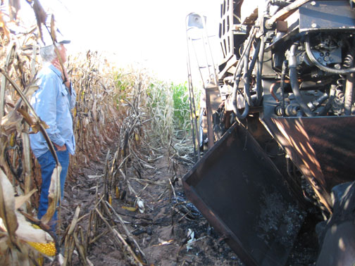 burned-sweet-corn-picker