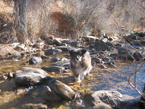 fuzzy-and-the-creek1