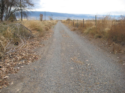 walk-to-the-mail-box