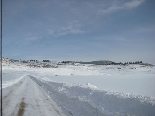 leaving-winter leaving-winter