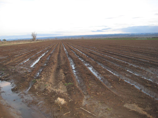 imprint-of-water-005