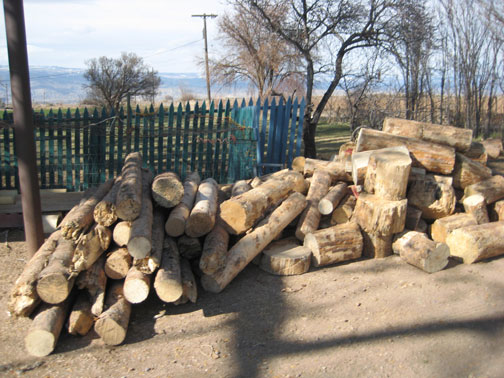 wood-for-next-winter-0021 wood-for-next-winter-0021