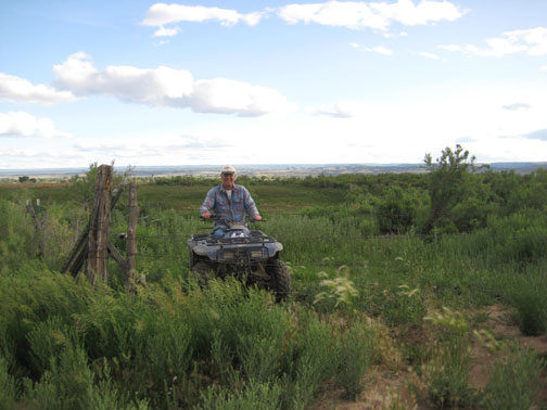 Checking-on-the-Cows