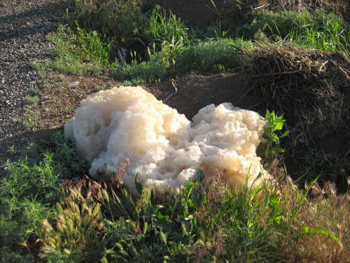 More-Ditch-Foam More-Ditch-Foam