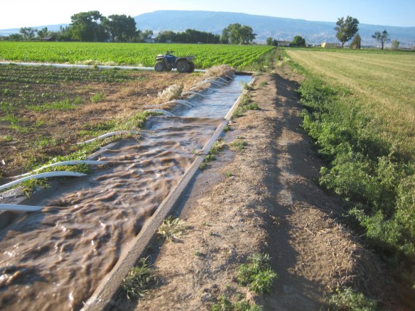 Moving-Water Moving-Water