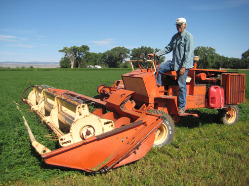 Cutting-Hay