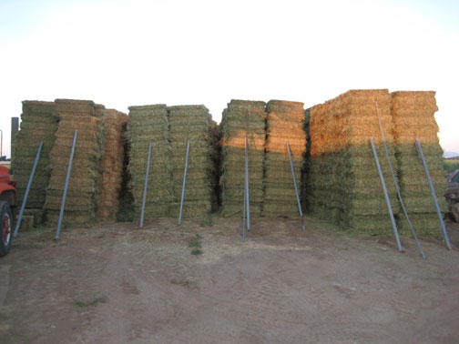 Hay-Second-Cutting