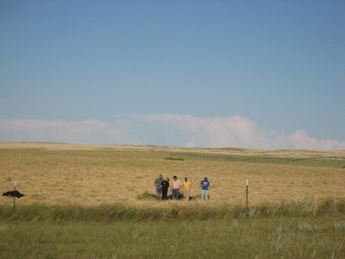 Checking-the-Wyoming-Hay
