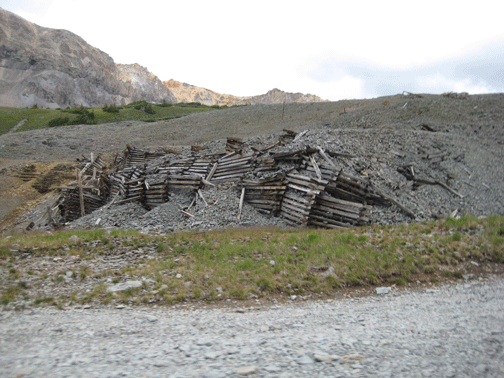 More-and-More-Tom-Boy