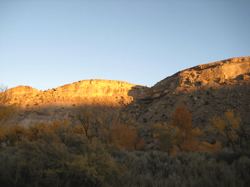Fall-in-the-Canyon