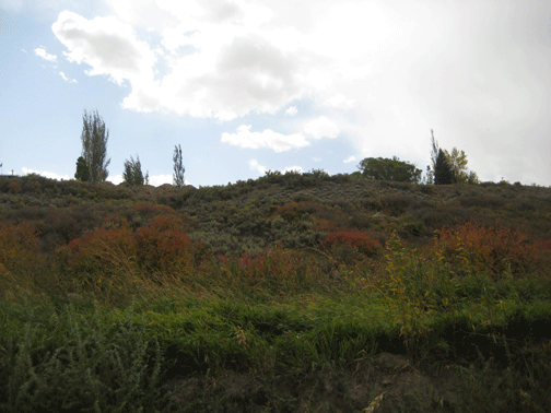 More-Fall-Hillsides