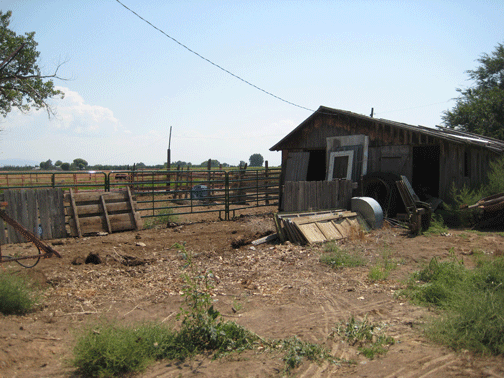 New-Barn-Step-One-001