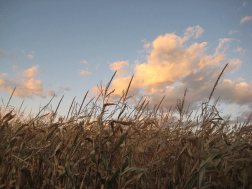 October-Sky October-Sky
