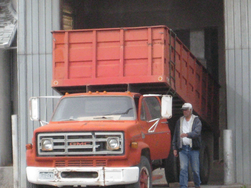Unloading-the-truck