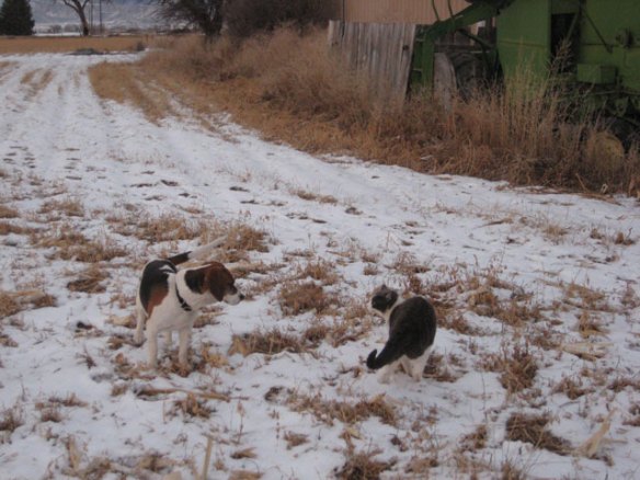 Sam-and-Boomer-in-the-snow
