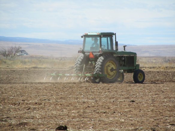 Ripping-the-Bean-Ground