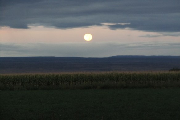 Moon-over-corn
