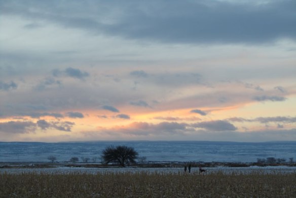 Grand-Mother's-House-we-go-