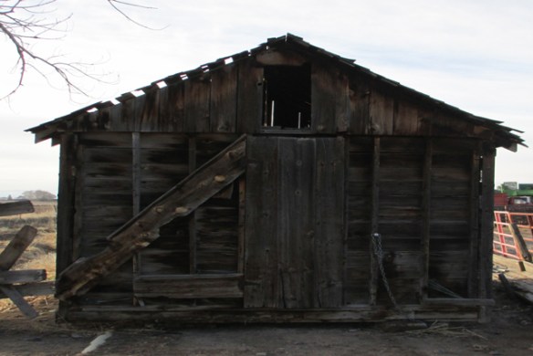 Shed