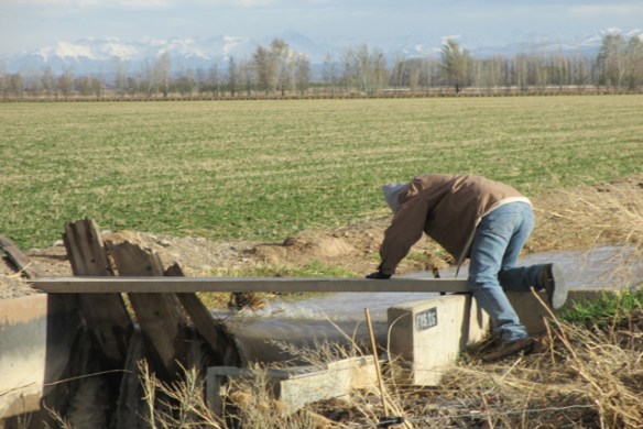 Checking-the-head-gate-1