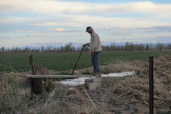 Cleaning-the-head-gate