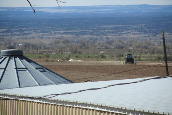 Marking-out-the-bean-ground