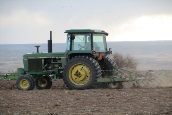 Riping-the-bean-ground1