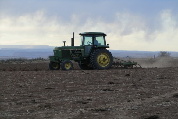 Ripping-the-bean-ground-2