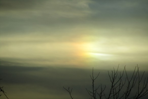 Sundog-1