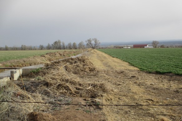 Trash-at-the-headgate