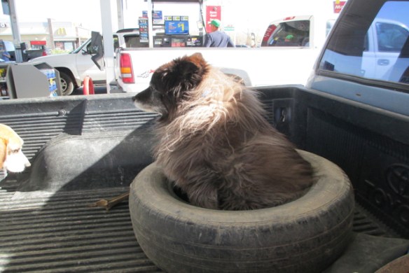Sitting-in-the-tire