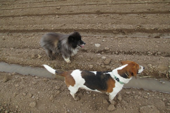 Walking-water-with-Mom