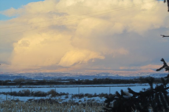 Snowing-on-Grand-Mesa