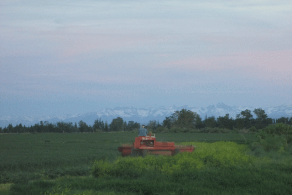 Going-through-the-sweet-clo