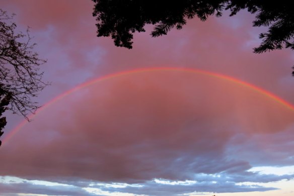 east-side-rainbow-(7)