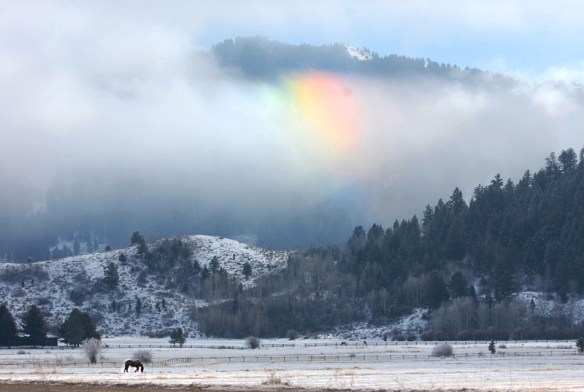 fogbow in field