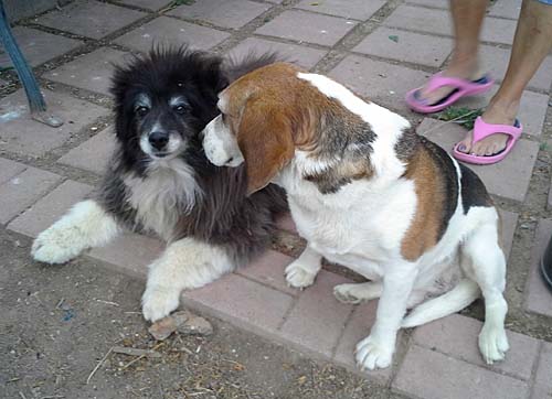 Linda Brown's at Delta CO