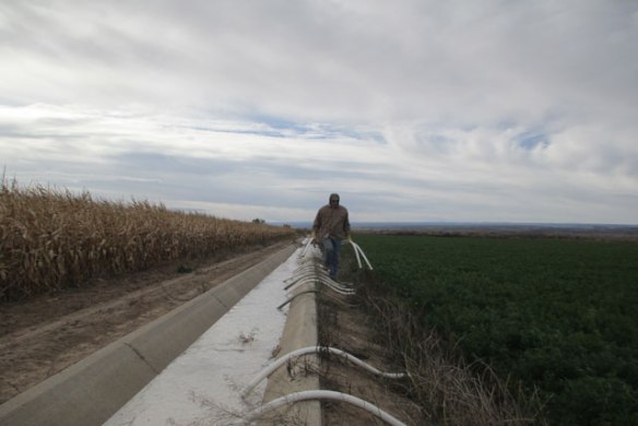 October-Irrigation-4