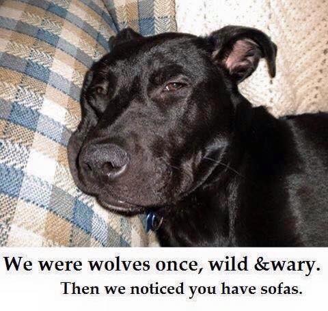 6a00d83451580669e201b8d0b70063970c-500wi