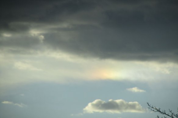 sundog.jpg