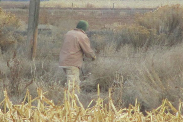 Fixing-Fences-and-gates-2