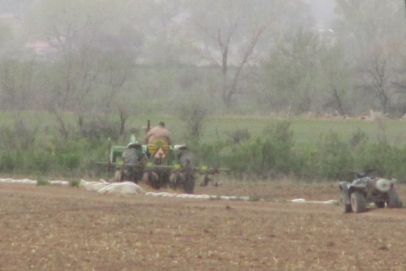 Farming-in-the-rain-1