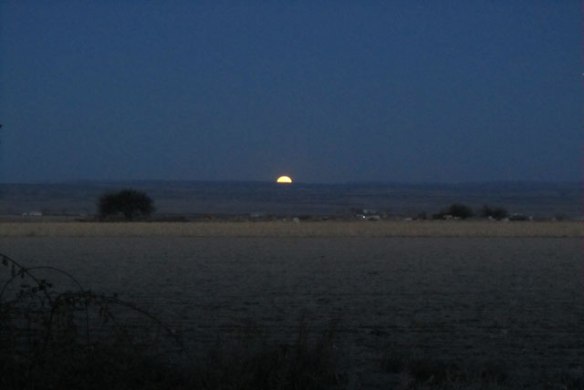 Field-Moon
