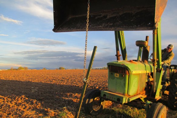 removing-fence-posts