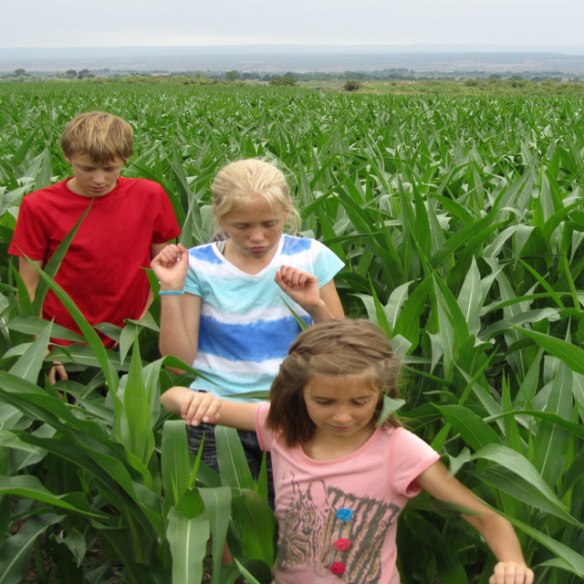 Children-of-the-Corn